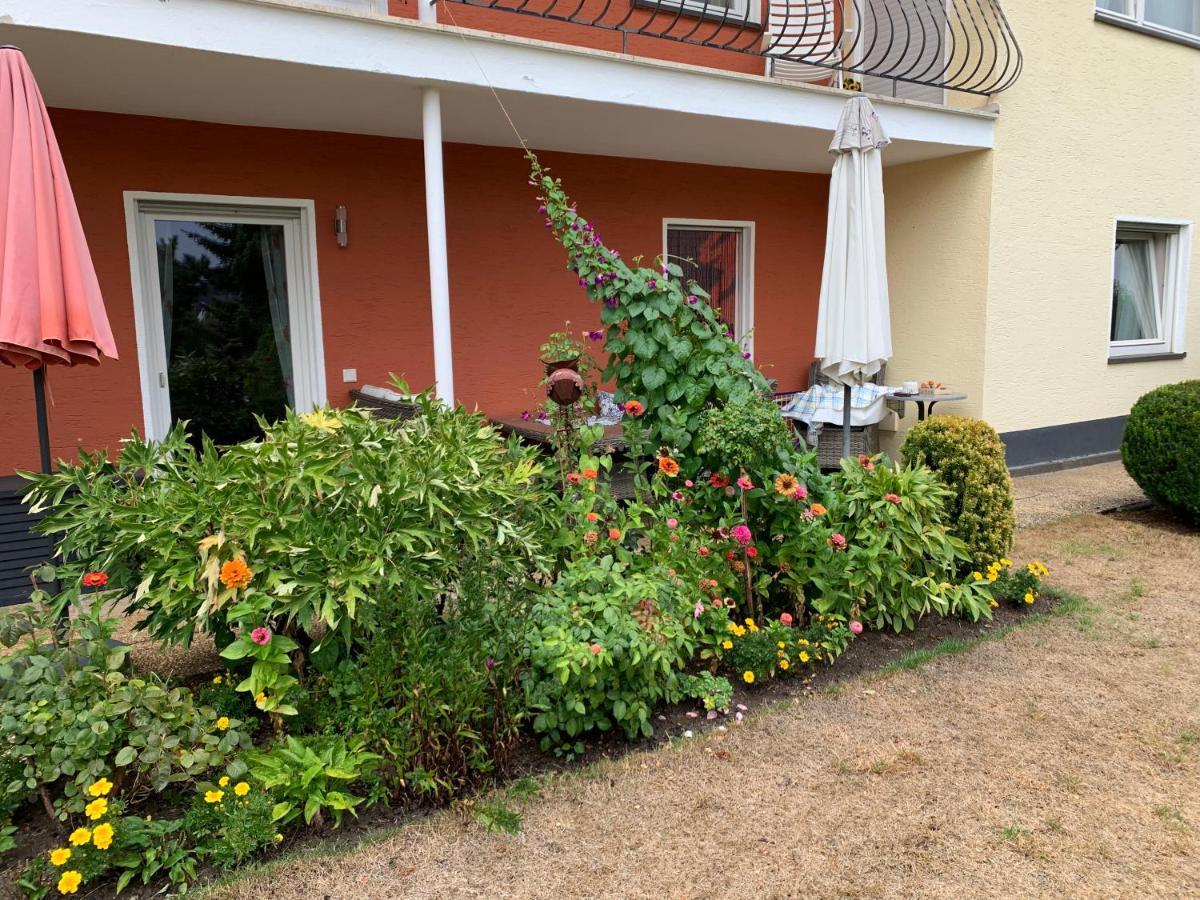Apartament Gruene Oase Kottenheim Zewnętrze zdjęcie