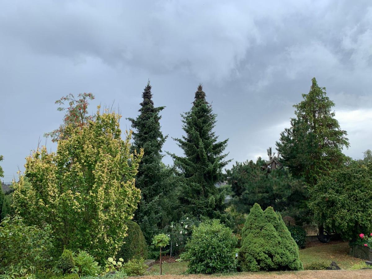 Apartament Gruene Oase Kottenheim Zewnętrze zdjęcie